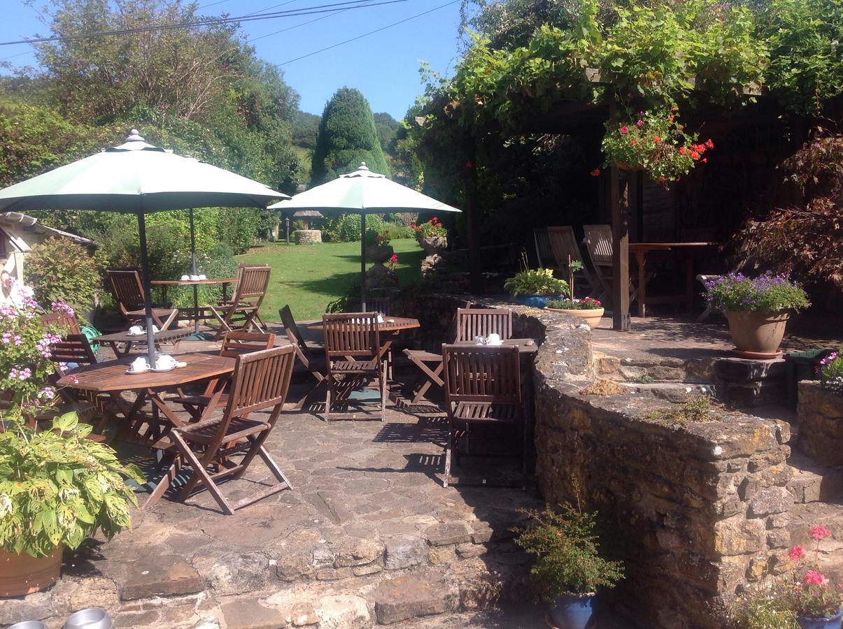 Abbotsbury Tea Rooms Exterior photo