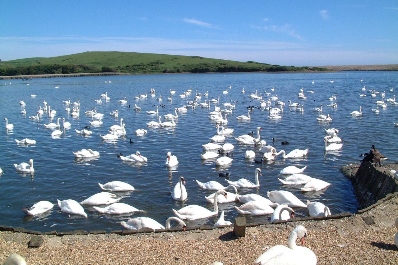 Abbotsbury Tea Rooms Exterior photo